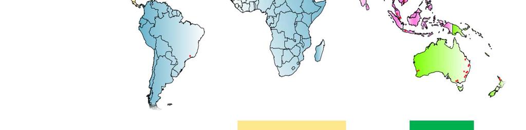 PALE / ŚCIANY SZCZELINOWE 3 22% WZMACNIANIE GRUNTU Australia