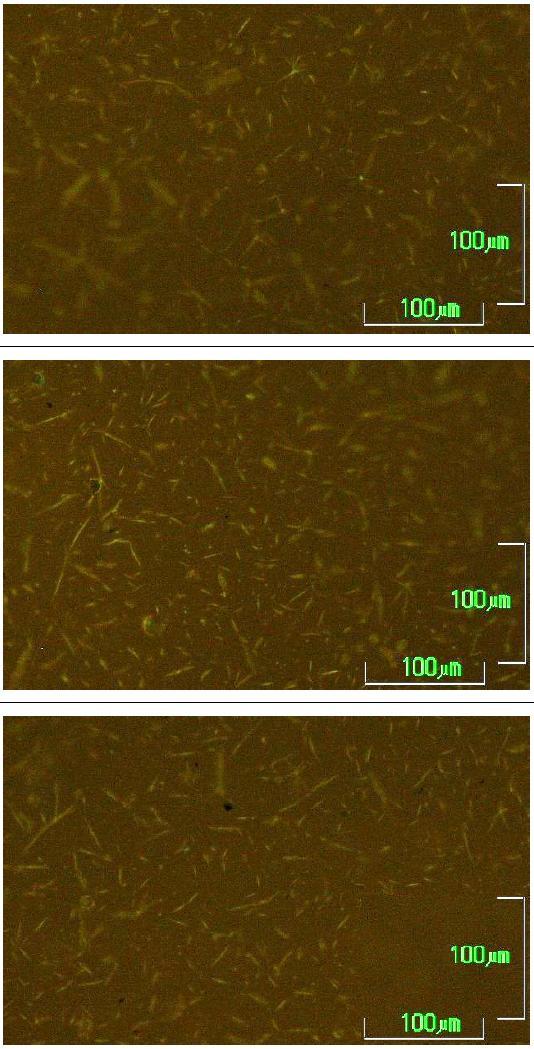 (<10 µm) / średnie (10-100 µm) Kształt : podłużne + 2% SASOBIT
