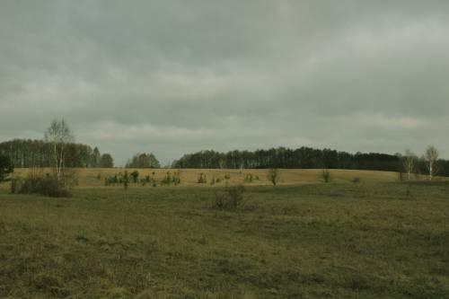 sekwencja naturalnych zmian składu gatunkowego i struktury biocenoz stadium