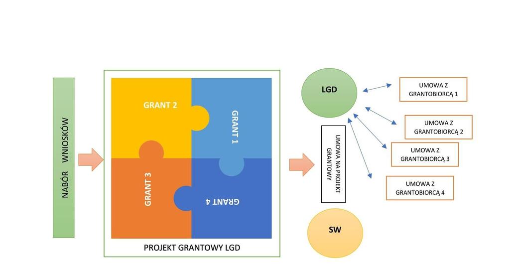 1 Projekt grantowy