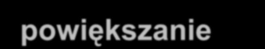 Rozwój organiczny Brak atrakcyjnych podmiotów do przejęcia. Powiększanie sieci sprzedaży i otwieranie sklepów w lokalizacjach poddanych ostrej selekcji. Przejmowanie kolejnych sklepów franszyzowych.