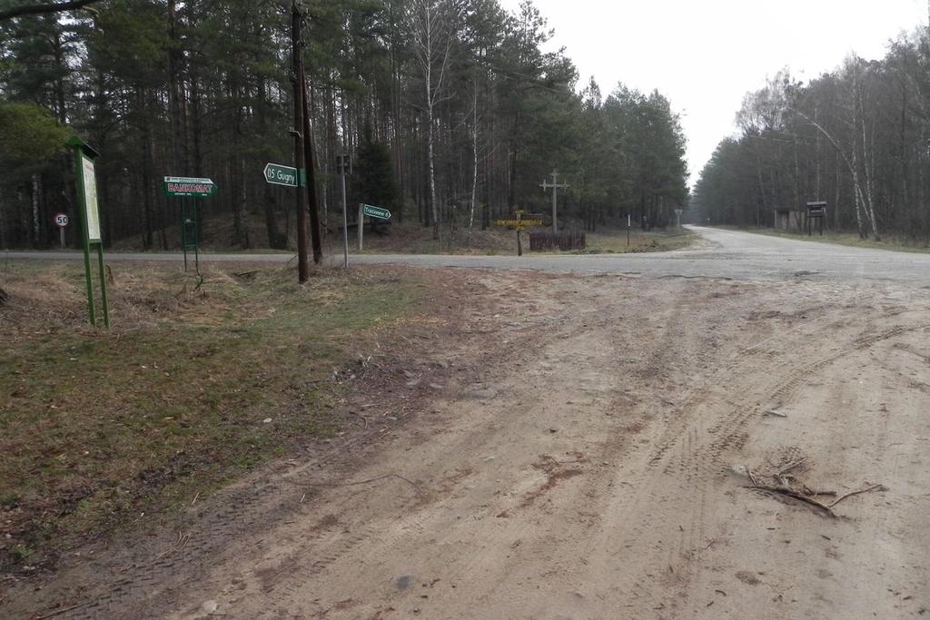 A224 lelek Caprimulgus europaeus Siedlisko: śródleśne zręby zupełne, młodniki, murawy, wrzosowiska, wydmy, polany, szkółki