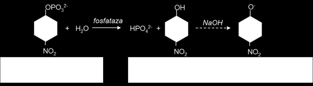 w tkankach roślinnych jak i zwierzęcych. Wyróżniamy dwie klasy fosfataz: kwaśne, które wykazują maksymalną aktywność przy ph 4-6 oraz zasadowe z maksymalną aktywnością przy ph 8-9.