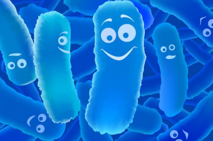 SIBO/ZJN probiotyki poprawiają objawy ZJN, szczególnie ZJN z SIBO zmniejszają poziom gazów w SIBO 50-60% działają przeciwgrzybiczo skuteczność może być wyższa niż antybiotyków 1.