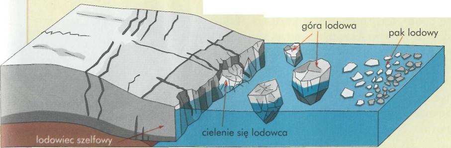 Na otwartym morzu w odpowiednio zimnym klimacie krystalizują płytki lodu, które mogą następnie łączyć się