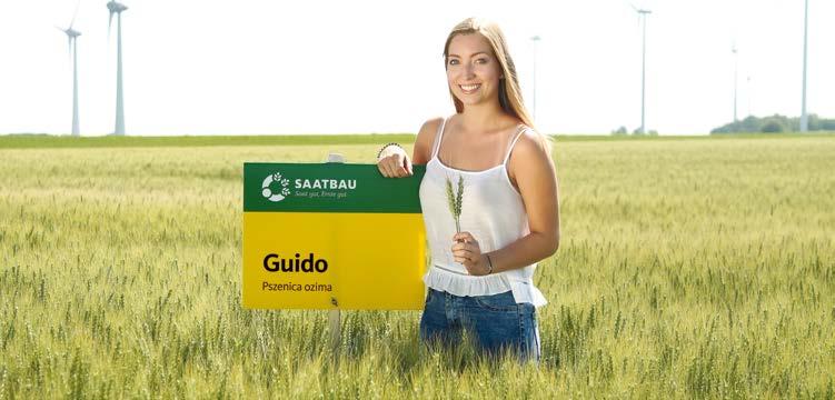Odmiany zbóż ozimych / sezon 2018 STRONA 9 PSZENICA OZIMA OŚCISTA GUIDO [A] Przewodnik wzorcowej uprawy! GUIDO jest wczesną odmianą ościstą, o wysokim potencjale produkcyjnym.