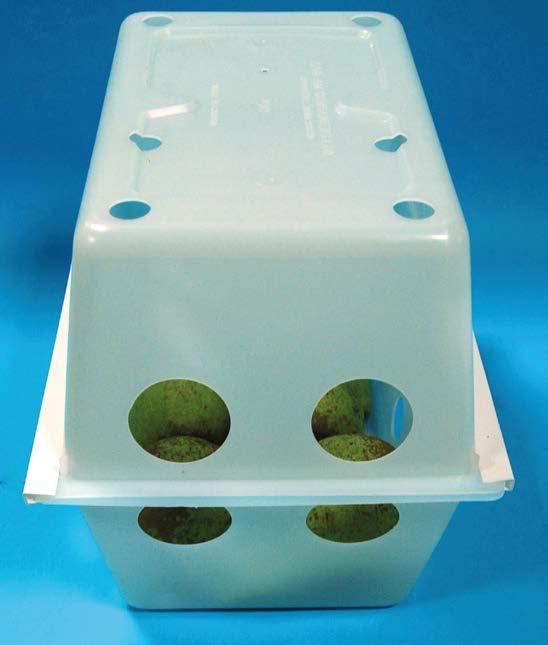 W przypadku dynamicznie kontrolowanej atmosfery z fluorescencją chlorofilu, próbki owoców umieszczane są w specjalnych pudełkach i FOT. 15.