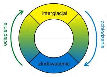 interglacjał holoceński zlodowacenia północnopolskie (bałtyckie) interglacjał eemski zlodowacenia środkowopolskie (Odry, Warty) interglacjał wielki zlodowacenia południowopolskie (Nidy, Sanu I,