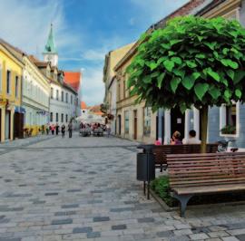 52 1. Park Przyrody Medvednica 1 Leśniczówka Bliznec Bliznec 70, 10000 Zagreb Tel.