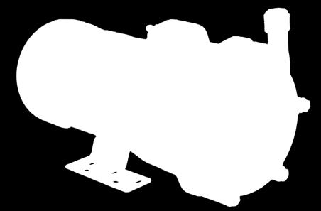 Opis modelu NH 200 PS F H Wielkość Seria Materiał Ø = PPG F = ETFE K = PVDF Przyłącze H = na wąż G = gwint BSP F = kołnierz T = gwint NPT Napięcie zasilania Ø = silnik Pan World 1- fazowy 220 V (lub