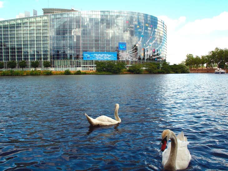 p i e r w s z a w y s t a w a i n t e r n e t o w a La Petite France - Strasbourg Z okazji polskiej prezydencji w Unii Europejskiej Muzeum Sportu i Turystyki w Warszawie instytucja kultury samorządu