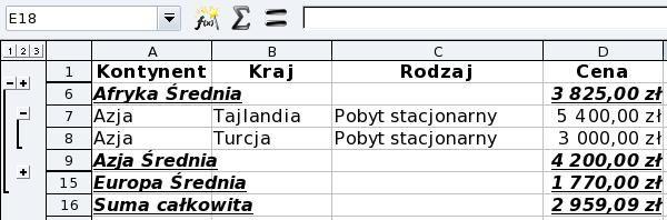 Porządkowanie tabeli danych Określenie poziomu szczegółowości danych zawartych w tabeli, a uzupełnionych automatycznym podsumowaniem.