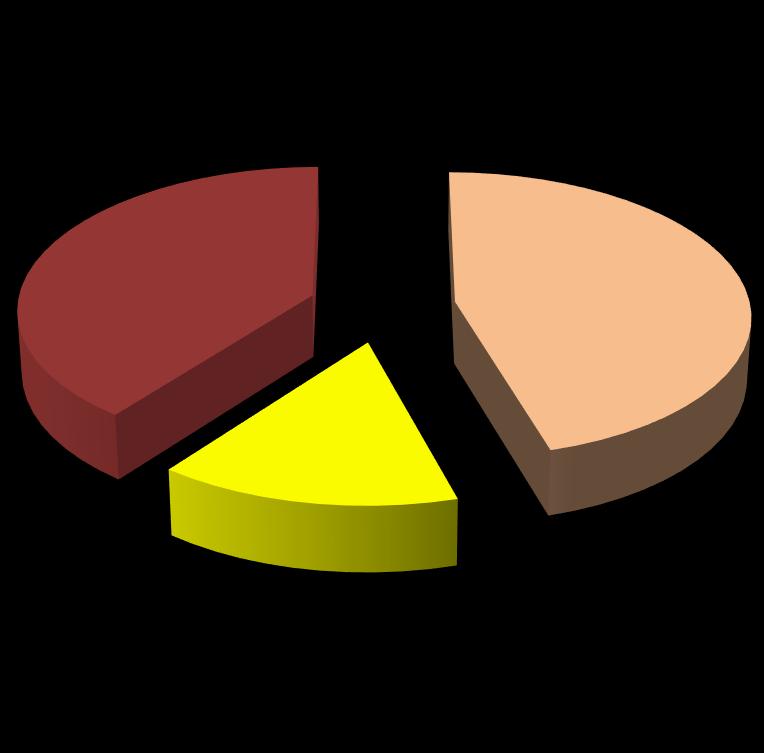 Struktura akcjonariatu 2015 39,6 14,84 45,56 Milduks Limited Raimita Limited Pozostali Midluks Limited oraz Raimita Limited są spółkami inwestycyjnymi z siedzibą na Cyprze. Milduks Ltd.