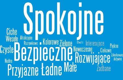 2.3. Diagnoza wizerunku Opola perspektywa wewnętrzna Diagnoza tożsamości i wizerunku Opola 2.3.1. Jakie jest Opole?