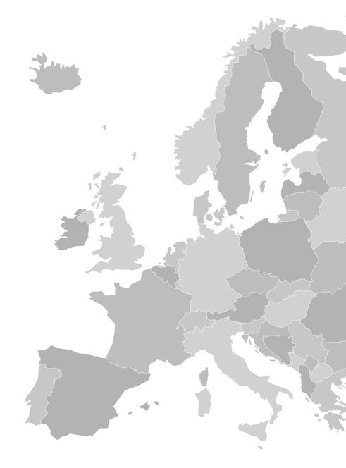 Pierwowzór tego rozwiązania stworzyła w roku 2005 Organizacja Współpracy Gospodarczej i Rozwoju (OECD). Zostało ono nazwane SAF-T (Standard Audit File for Tax).