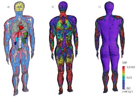 Sekcja 5 Materiał referencyjny 127 Rysunek D4 Narażenie na wysokie częstotliwości: przekroje ludzkiego ciała przedstawiające: a) wewnętrzne ograny w ciele; b) SAR wytwarzane w tkankach w wyniku