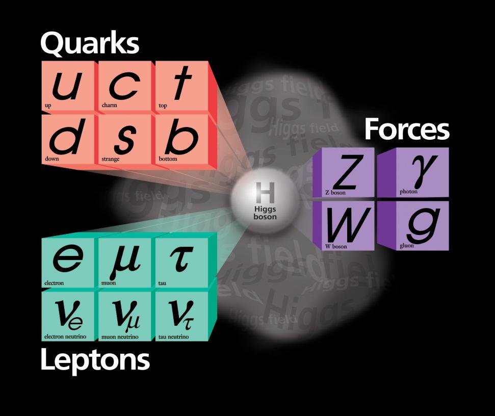 Model Standardowy Kwarki (wszystkie) : l. barionowa B=1/3 Leptony (wszystkie) : l.