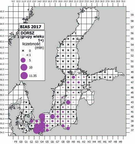 Średnia gęstość powierzchniowa biomasy bałtyckich szprotów, śledzi i dorszy w maju i wrześniu 217 r.