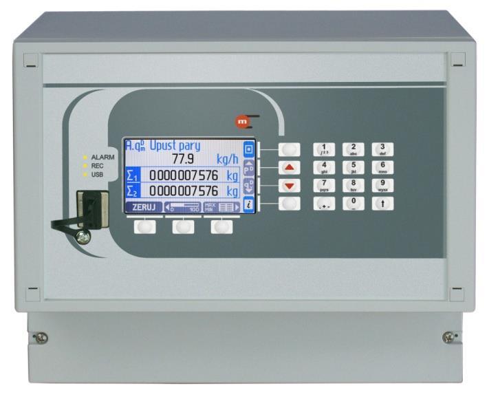 4-20mA Zaawansowana rejestracja wyników pomiarów Graficzny, kolorowy wyświetlacz LCD TFT Porty: RS-485 (protokoły ASCII i Modbus RTU), Ethernet (protokół Modbus TCP, serwer WWW) Opcjonalny moduł GSM