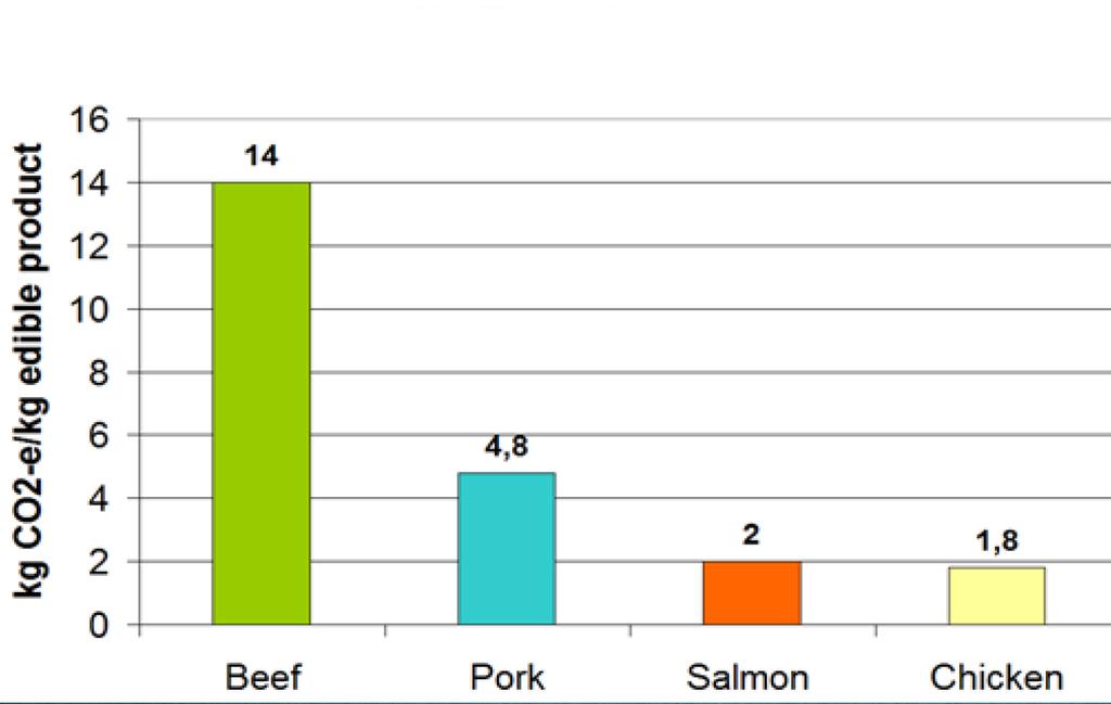 Emisja CO2 /kg