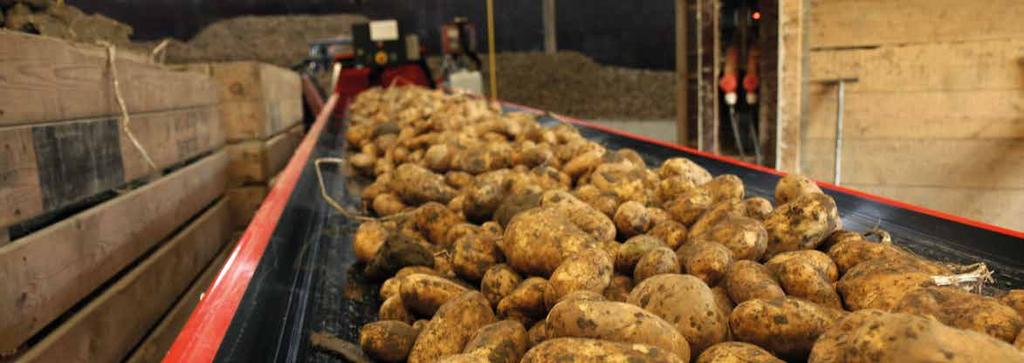 TRANSPORT I SKŁADOWANIE W SPOSÓB PRZYJAZNY DLA PRODUKTU Firma Miedema posiada wieloletnie doświadczenie w transporcie ziemniaków.