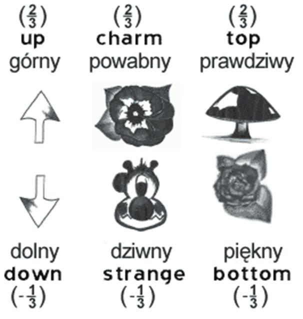 w których: np. dla r at. =,77 1-1 m r j = 3,23 1-15 m L. Lederman, D.