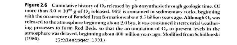 % skumulowany produkcji O 2 ZMIANY ZAWARTOŚCI TLENU W ATMOSFERZE Kontynentalne red beds Formacje Fe wstęgowego (BIF) Chwilowy wzrost O2 w