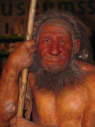 Homo neanderthalensis 390 Zmiany