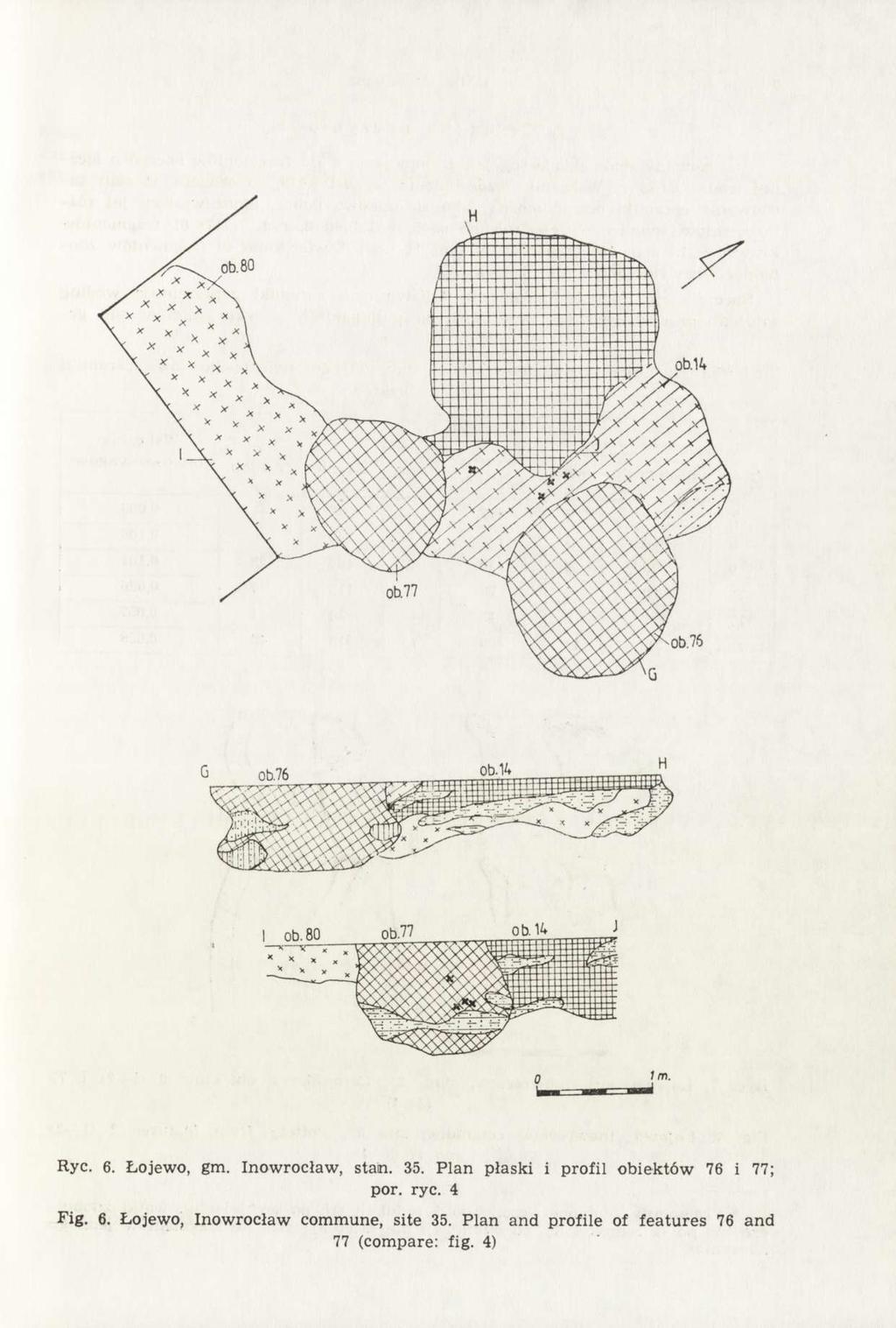 Ryc. 6. Łojewo, gm. Inowrocław, stan. 35. Plan płaski i profil obiektów 76 i 77; por. ryc. 4 Fig.