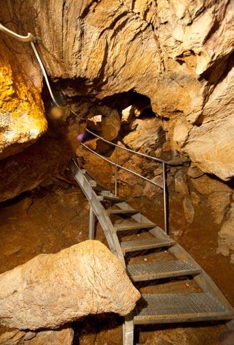 W tym samym czasie odkryto także Wielką Szczelinę, oraz górne piętro jaskini, zaś w dolnym piętrze Strzelisty Korytarz.