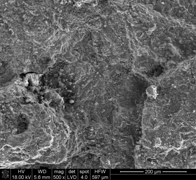 158 W. Iskra-Kozak Rys. 5. Obraz SEM z analizą powierzchniową EDS popiołu lotnego siarczanowo-wapniowego z Elektrowni Pątnów Fig. 5. SEM image with EDS surface analysis of the sulphate - calcium fly ash from the Pątnów Power Station 4.