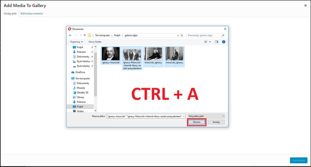Klikamy otwórz, a po załadowaniu wszystkich zdjęć na stronę, wybieramy Add Media tak
