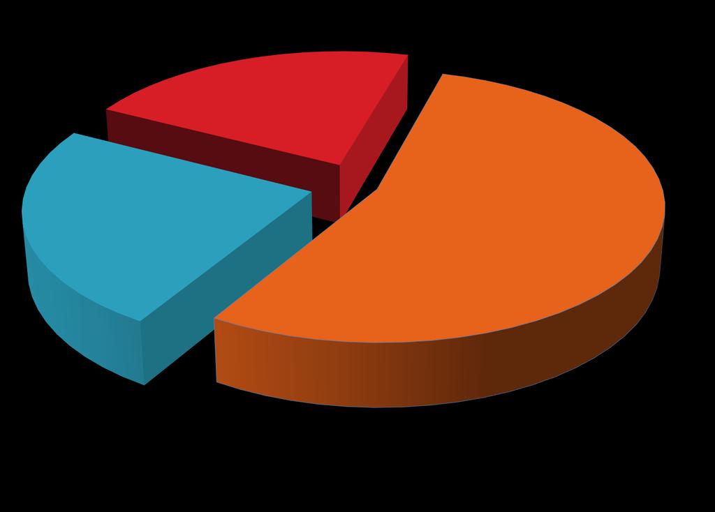 Dotacje celowe 22% Dochody