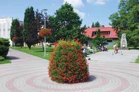 FLOWER POWER PLEBISCYT 2016 Już dzisiaj pomyśl o zgłoszeniu Twojego miasta do Plebiscytu 2017. Czekamy na Twoją propozycję! Międzyrzecz Jelcz-Laskowice Kęty 2. MIEJSCE 1. MIEJSCE 3.