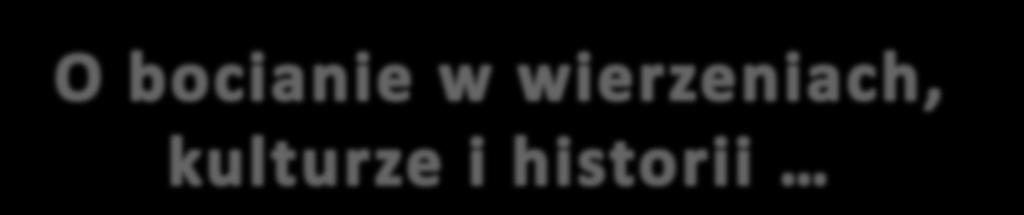 Grecki filozof i matematyk Pitagoras (572-497 p.n.e.) uważał, że w bocianach przebywają dusze zmarłych poetów.