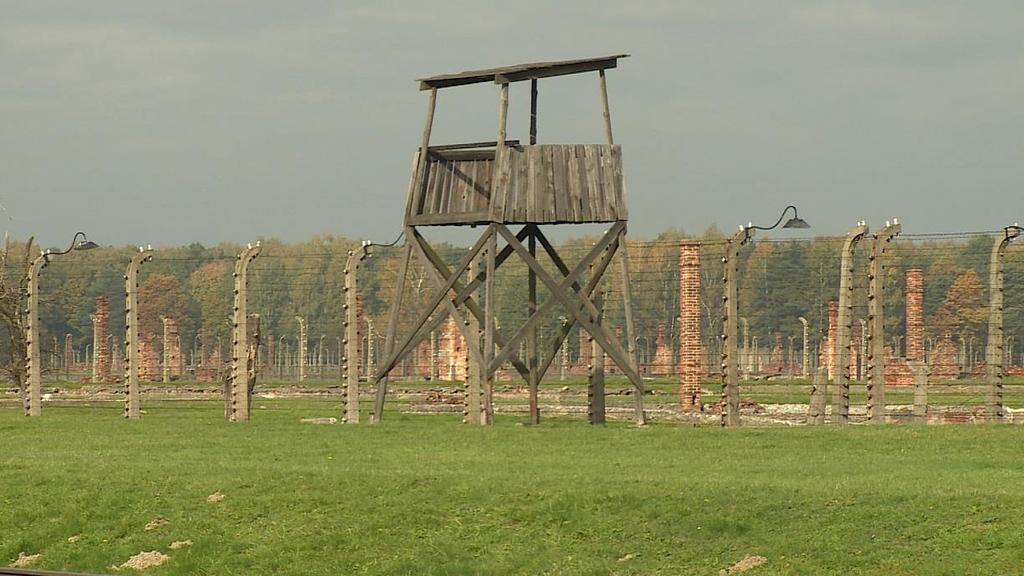 IDEALNE MIASTO AUSCHWITZ Idealne miasto Auschwitz Premiera w piątek 22 czerwca o godz. 20:00 (1x60 min) Idealne miasto Auschwitz to dokument o nieznanej historii Oświęcimia.