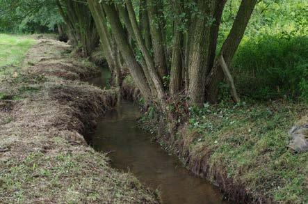 Retencja wodna - podział Naturalna wynikająca z naturalnych cech środowiska przyrodniczego (np.