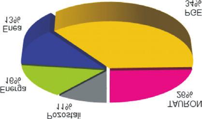 Pozostali 7 5% Suma 132 100% ród³o: ARE, informacje spó³ek opublikowane na stronach internetowych Poni szy wykres przedstawia podstawowe informacje na temat udzia³u poszczególnych grup energetycznych