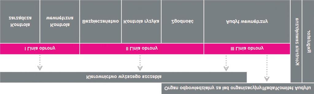 3. ZARZ DZANIE RYZYKIEM W GRUPIE KAPITA OWEJ TAURON 3.1.