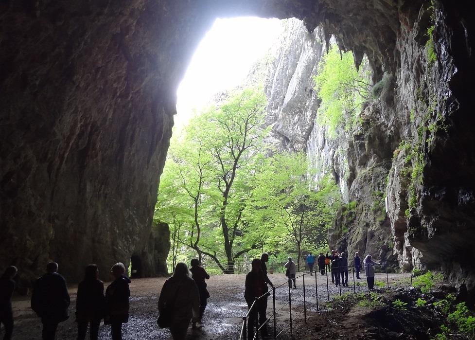 Fot. 21: W Słowenii koniecznie należy zwiedzić jeden z dwóch słynnych kompleksów jaskiń. Są nimi: Postojna (słoweń.