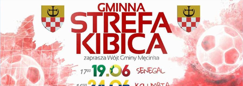 Działania w zakresie rozwoju społecznego i sportu organizacja gminnej