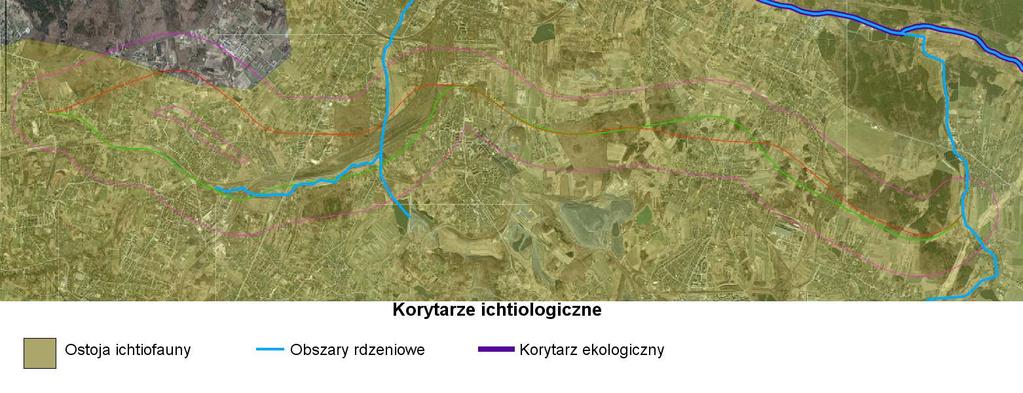 Rysunek 6 Lokalizacja wariantów