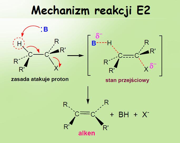 W reakcji przebiegającej według mechanizmu E2 obydwie grupy odszczepiają się jednocześnie. Reakcja zachodzi w jednym etapie i jest drugiego rzędu.