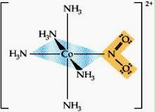 zomeria strukturalna zomeria wiązaniowa ligand może łączyć się z atomem centralnym za
