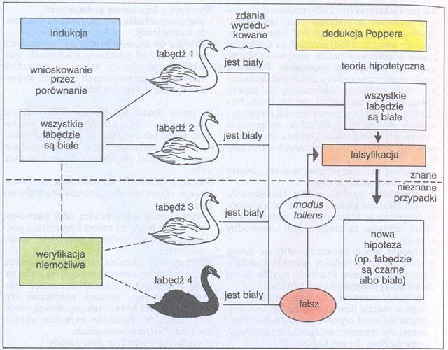 Falsyfikacjonizm Indukcja i dedukcja według Poppera Jerzy