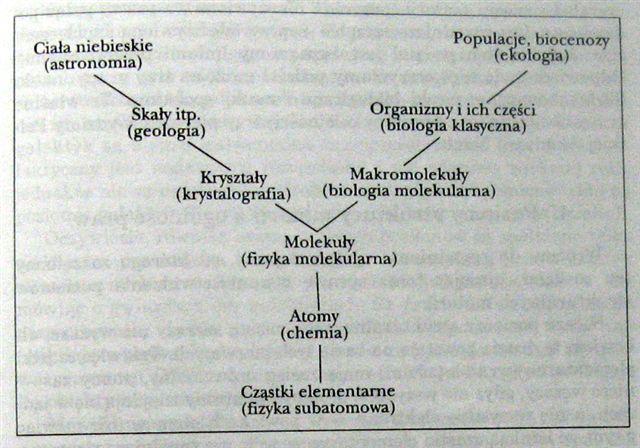 Typy nauk Podział nauk: nauki a ontologia Jerzy