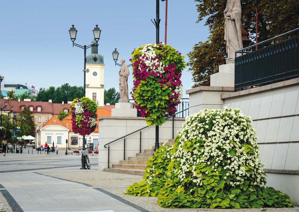 Kwiecień April April Białystok wykorzystane modele: H1200 H750 Marzec 2014 14 15 16 17 18 1 2 3 4 5 6 Teodory, Grażyny Franciszka, Władysława Ryszarda, Pankracego Izydora, Wacława Ireny, Wincentego