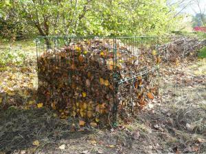 Co to jest ziemia liściowa? Ziemia liściowa to rodzaj kompostu, który otrzymujemy wyłącznie z liści drzew i krzewów ozdobnych i owocowych.