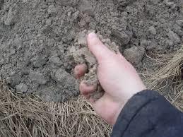 7. Piasek, iły i glina Jeżeli w ogrodzie mamy glebę ciężką, do kompostu możemy dodać piasku, aby wyrównać warunki
