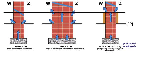 Destrukcja murów lub tynków pod wpływem krystalizujących soli zachodzi w trzech etapach: 1. stopniowa krystalizacja soli w porach tynku, 2.